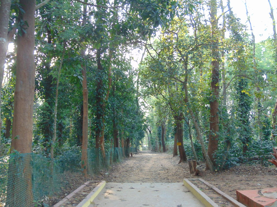 Photo of Daringbadi, Odisha, India by Soumik Palit
