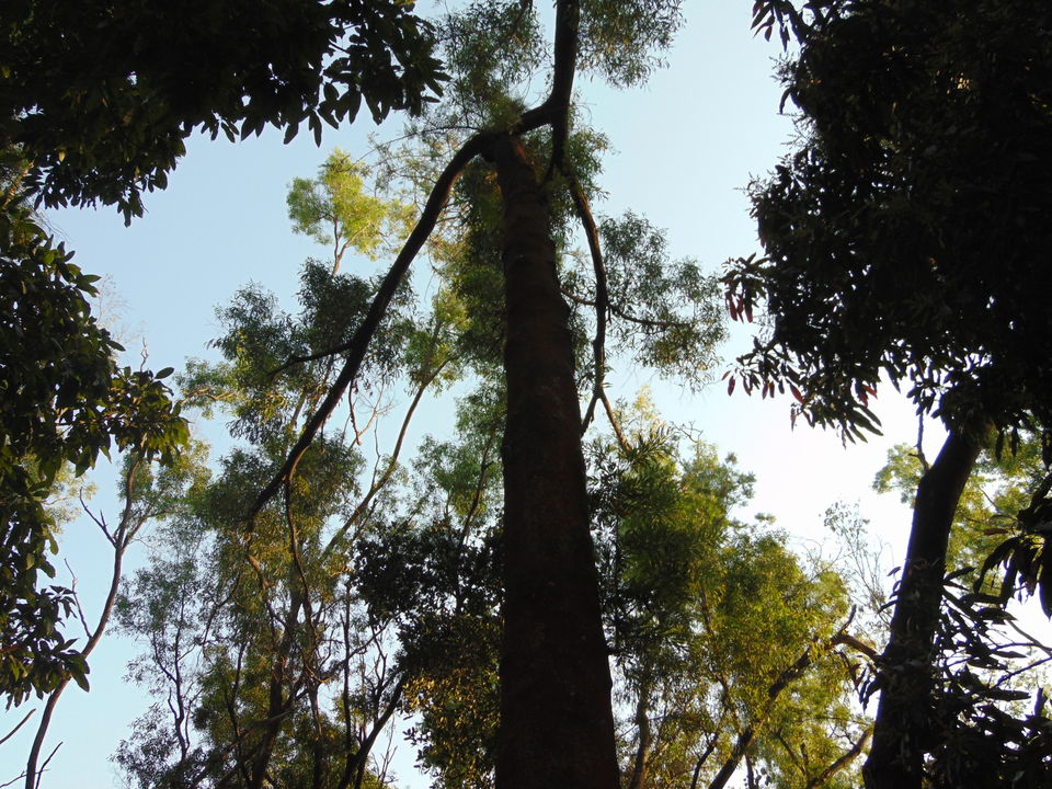 Photo of Daringbadi, Odisha, India by Soumik Palit