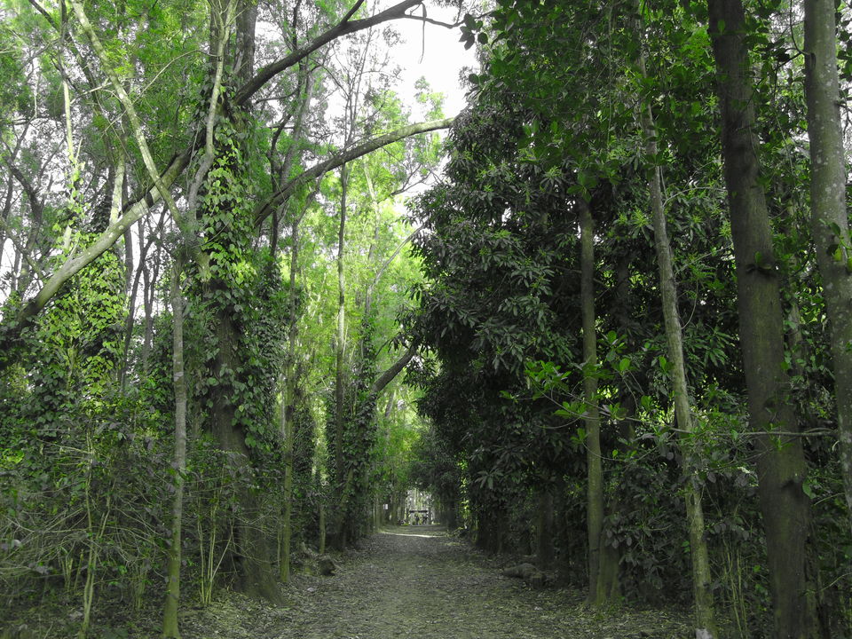Photo of Daringbadi, Odisha, India by Soumik Palit