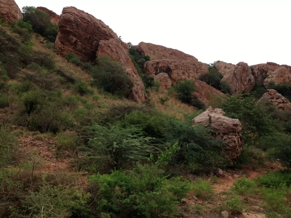 Photo of Katikavanikunta by Venkatesh Polisetti