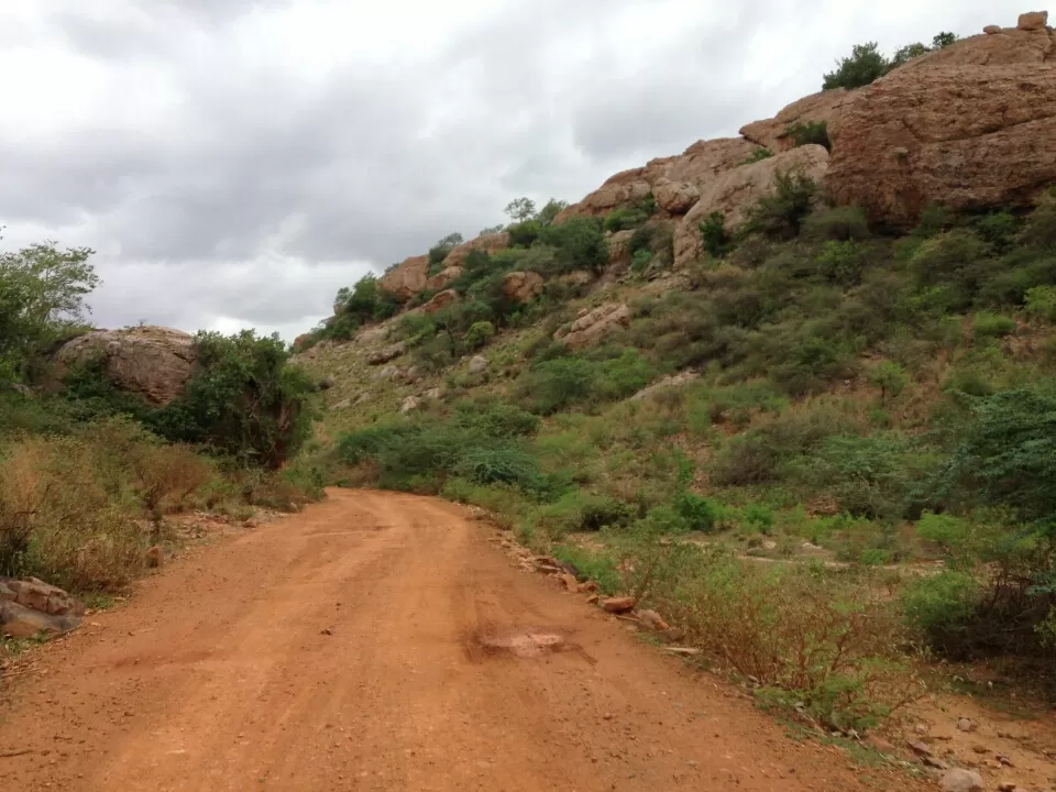 Photo of Katikavanikunta by Venkatesh Polisetti