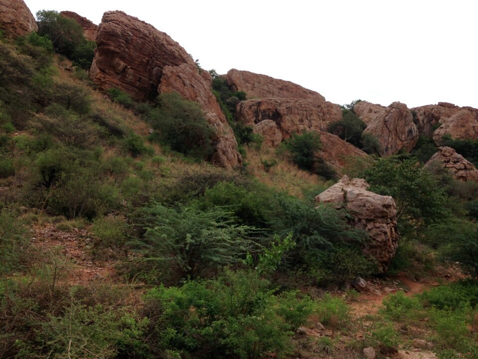 Photo of Kurnool spiritual trip 10/43 by Venkatesh Polisetti
