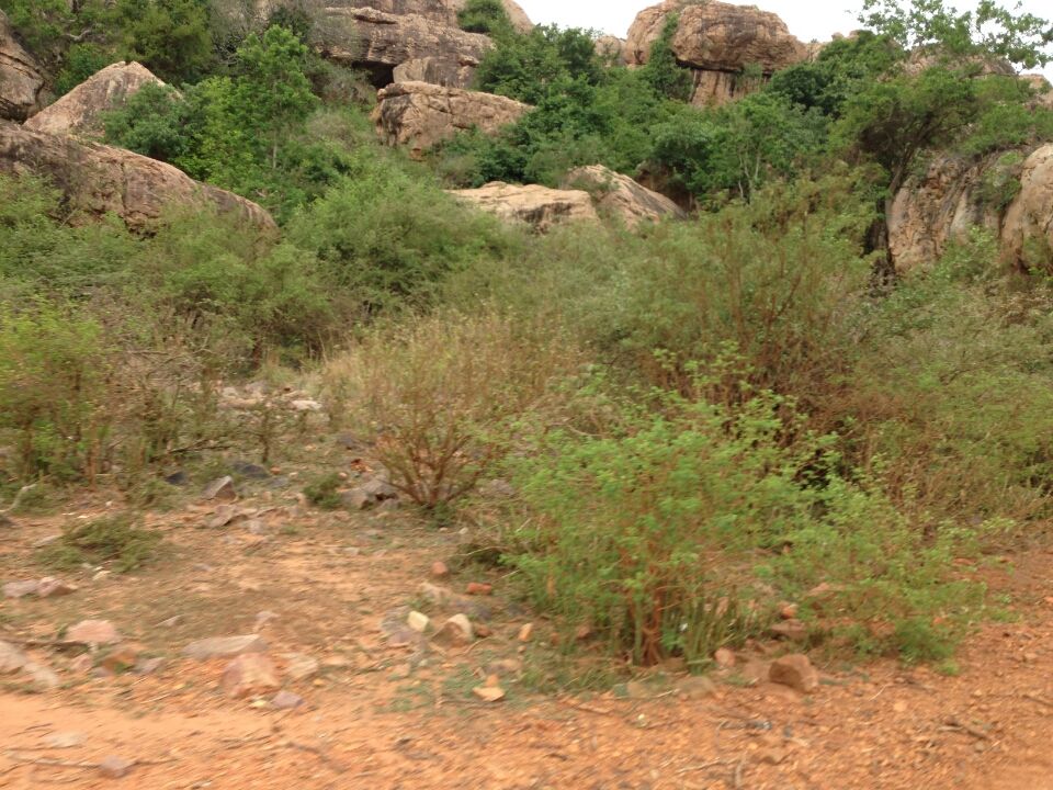 Photo of Kurnool spiritual trip 11/43 by Venkatesh Polisetti