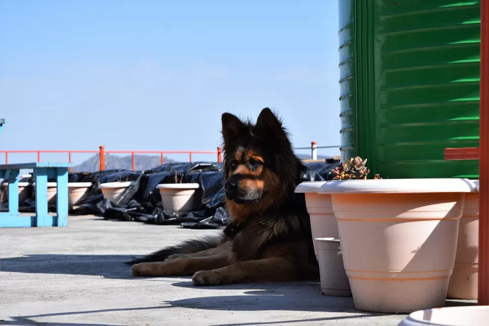 Photo of Ramgarh, Uttarakhand, India by Amer Ghauri