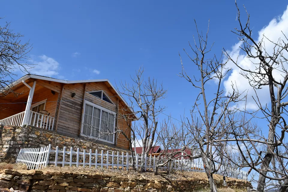 Photo of Dudkanedhar, Bhowali Range, Uttarakhand by Amer Ghauri