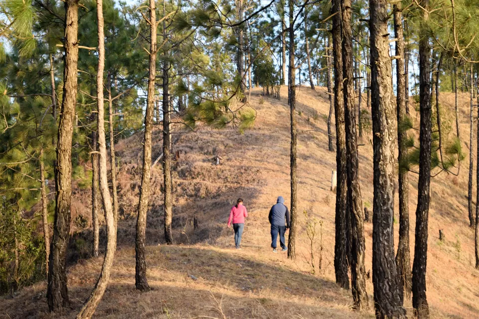 Photo of Salla Rautela, Uttarakhand, India by Amer Ghauri