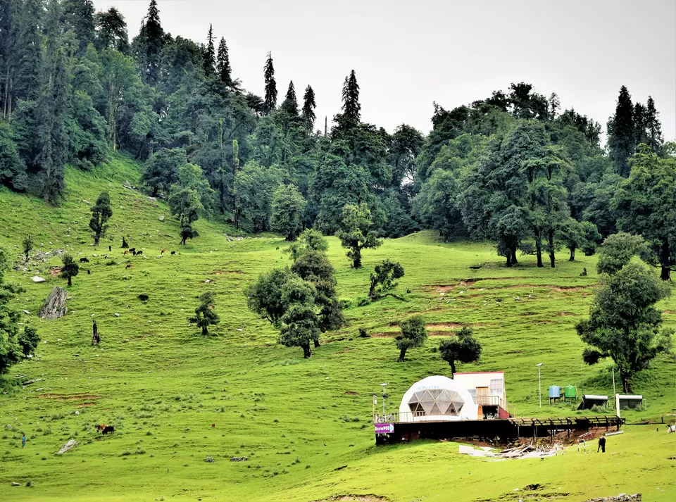 Photo of Chopta, Uttarakhand, India by Amer Ghauri