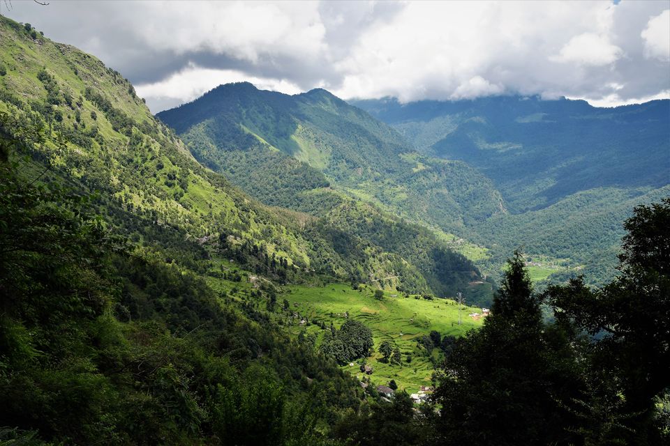 Photo of Chopta, Uttarakhand, India by Amer Ghauri