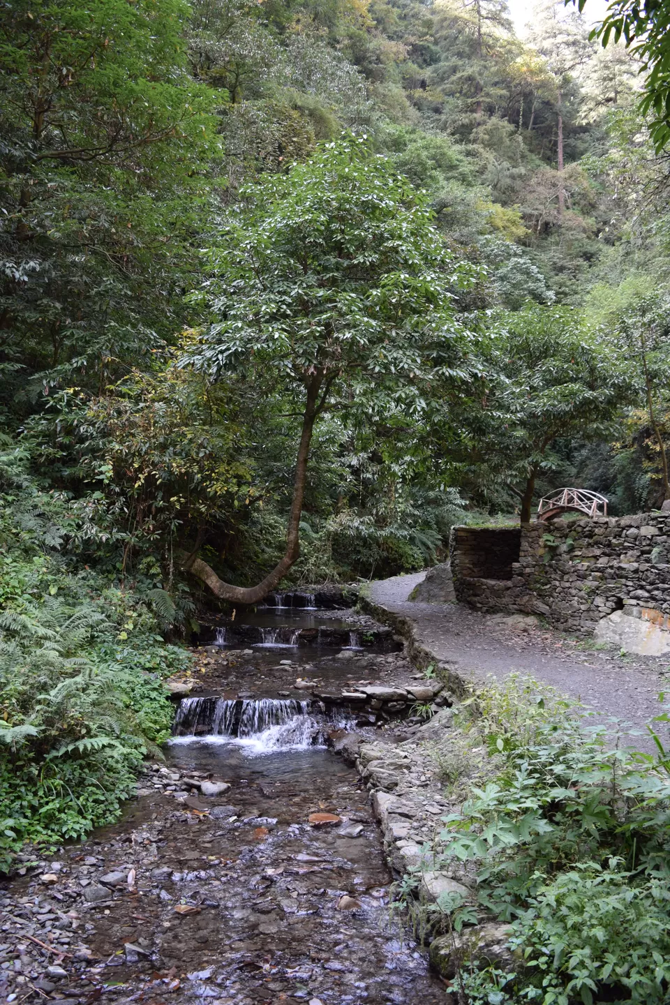 Photo of Jibhi, Himachal Pradesh, India by Amer Ghauri