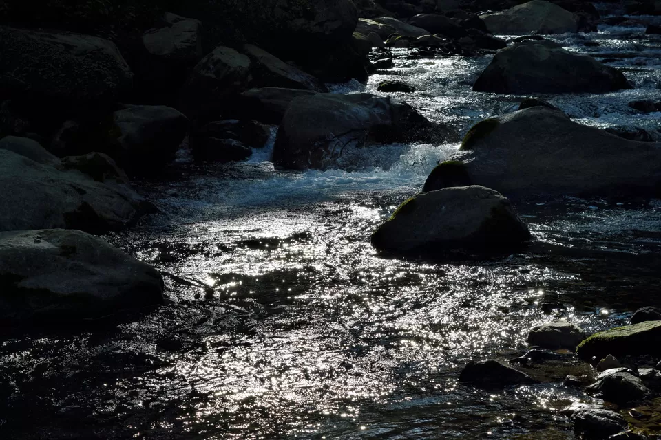 Photo of Jibhi, Himachal Pradesh, India by Amer Ghauri