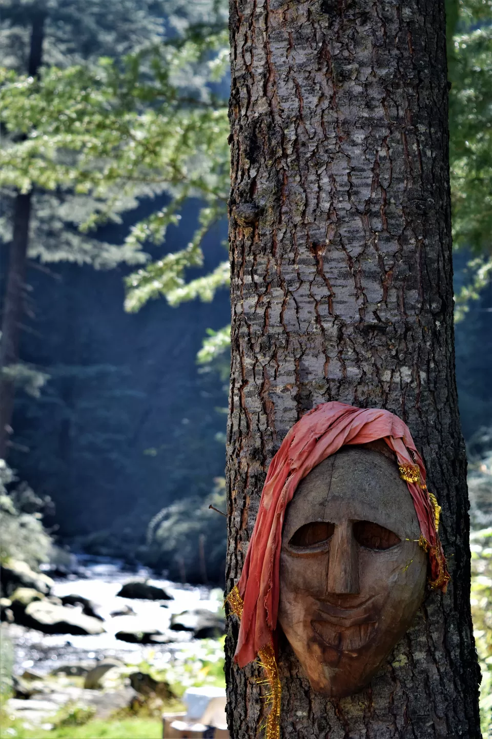 Photo of Jibhi, Himachal Pradesh, India by Amer Ghauri