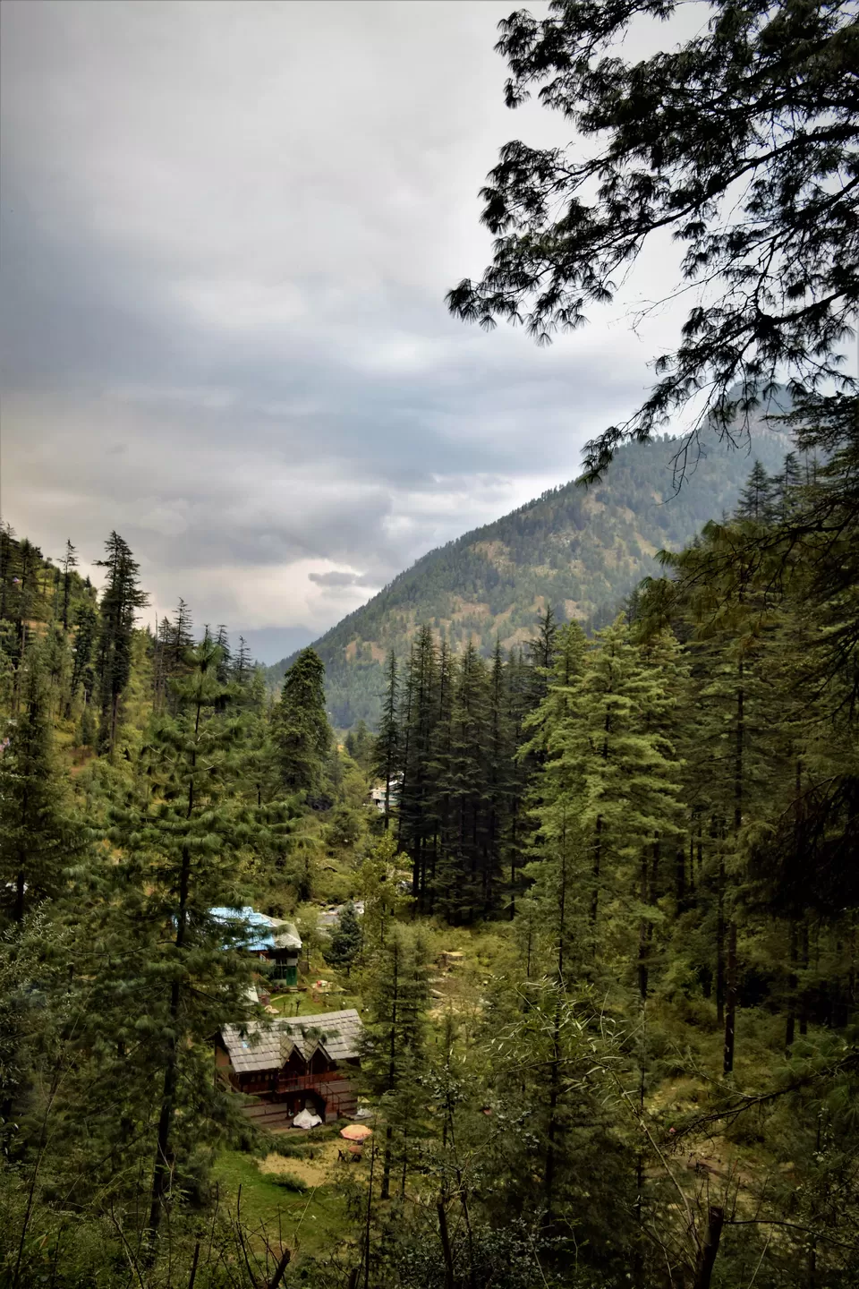 Photo of Jibhi, Himachal Pradesh, India by Amer Ghauri