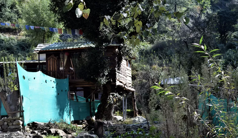 Photo of Jibhi, Himachal Pradesh, India by Amer Ghauri