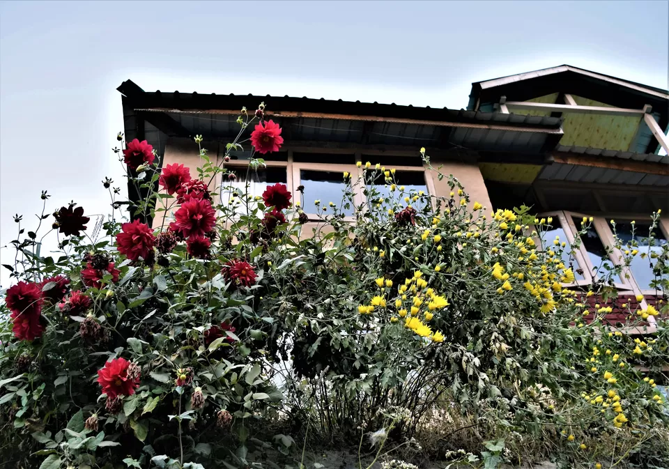 Photo of Jibhi, Himachal Pradesh, India by Amer Ghauri