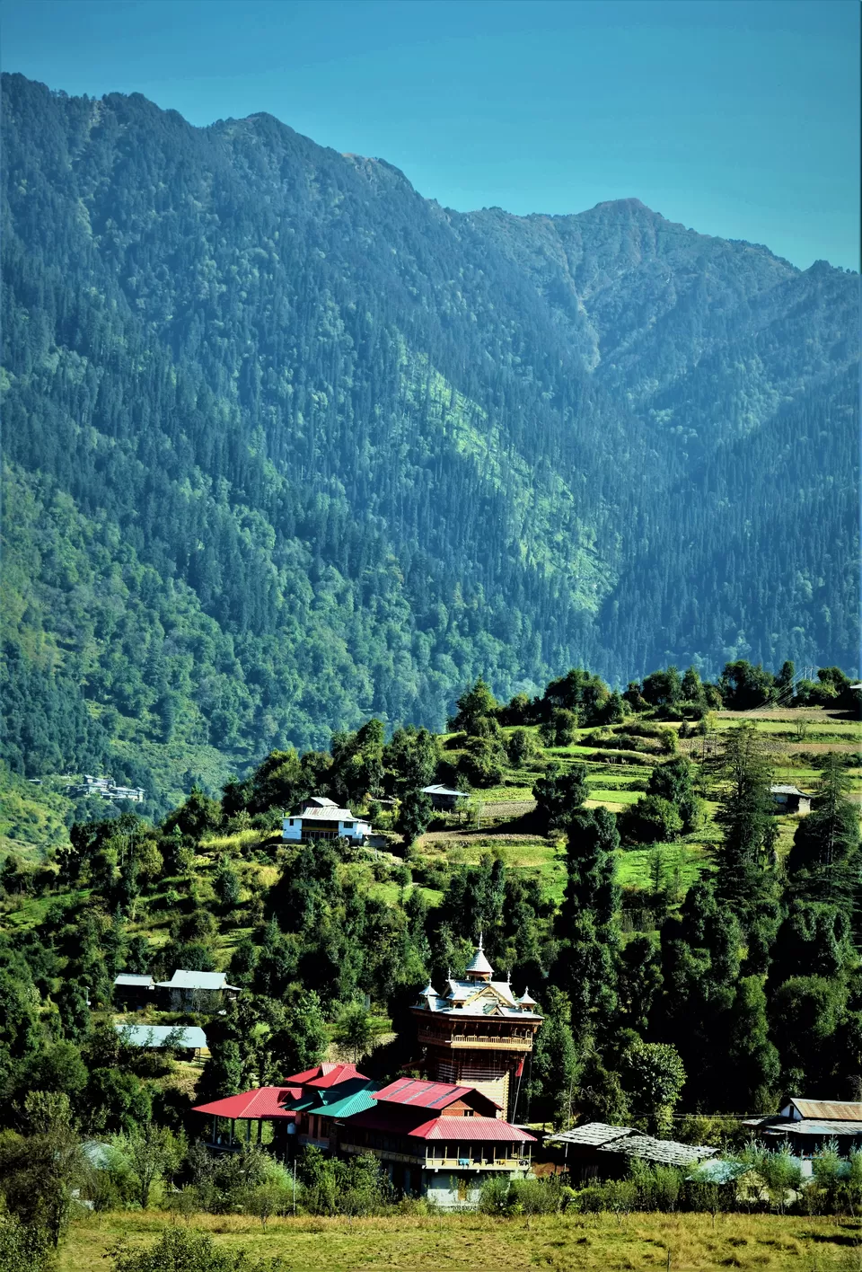 Photo of Shangarh, Himachal Pradesh, India by Amer Ghauri