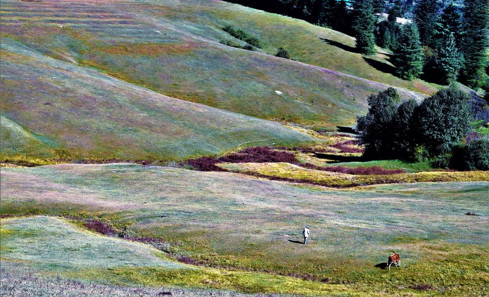 Photo of Himachal & “the hiding” by Amer Ghauri