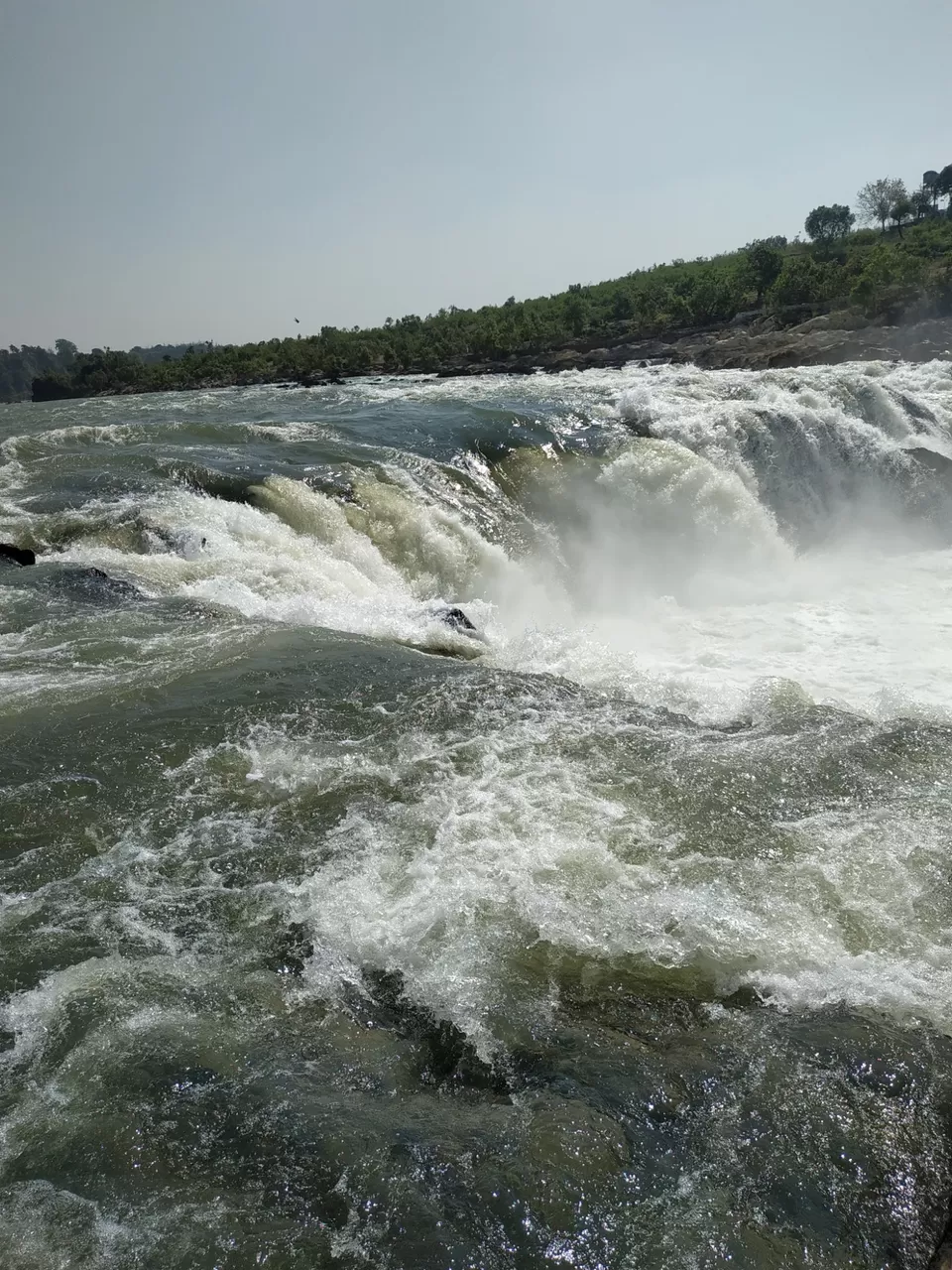 Photo of Amazing Trip by Divyanshu Dixit