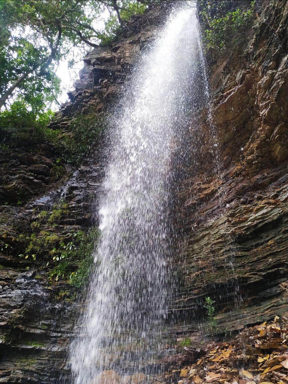 Photo of झरने की खोज में by Divyanshu Dixit