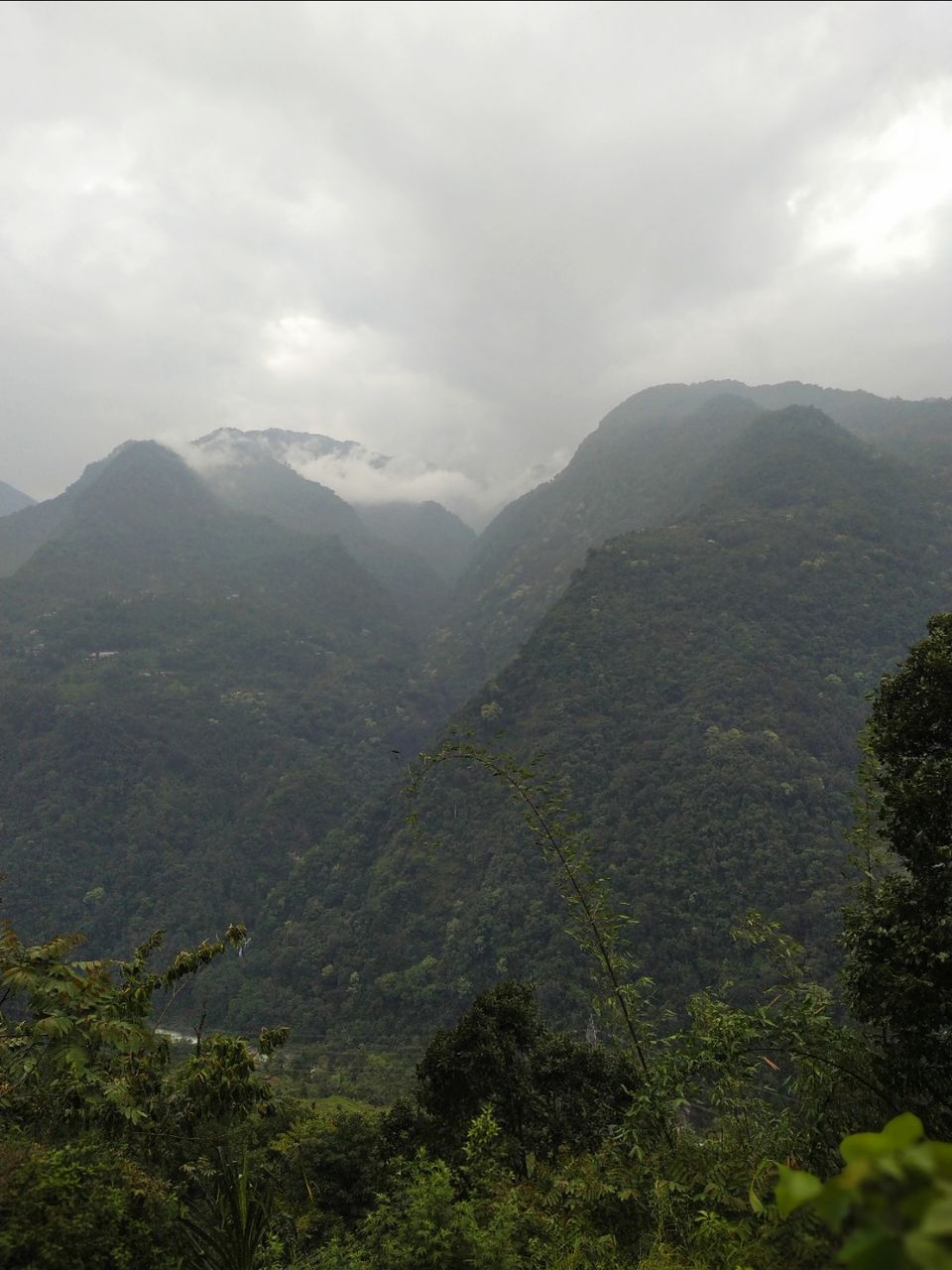 Photo of No camparision beween Hills and Beaches #HillsoverBeaches by Divyanshu Dixit