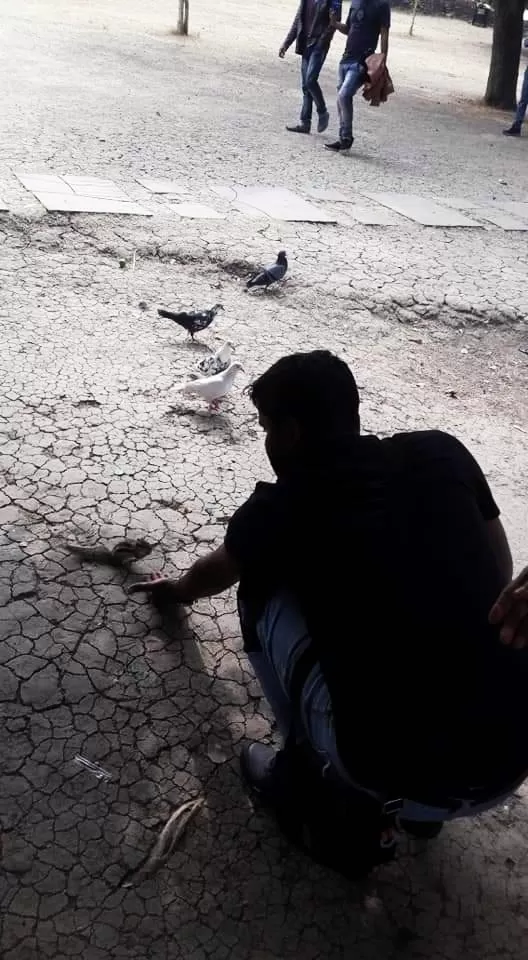 Photo of धर्म , वास्तु , साहस , शांति और कला प्रेम का प्रतीक है - मध्य भारत का सांची स्तूप ! by Divyanshu Dixit
