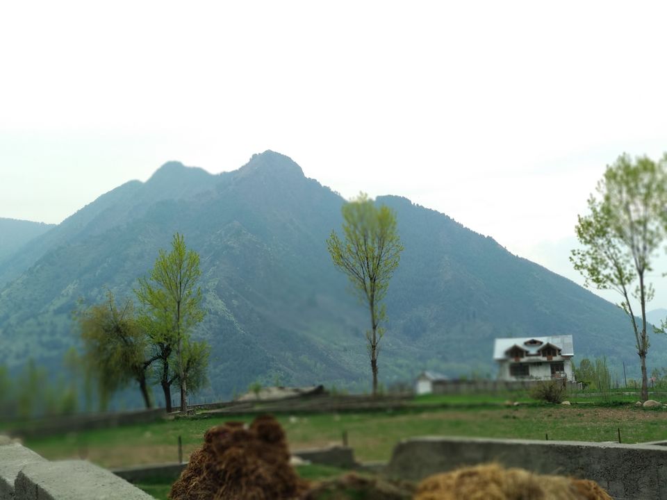 Photo of This is for those who love trekking. by Shabir Ah