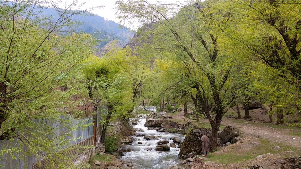Photo of This is for those who love trekking. by Shabir Ah