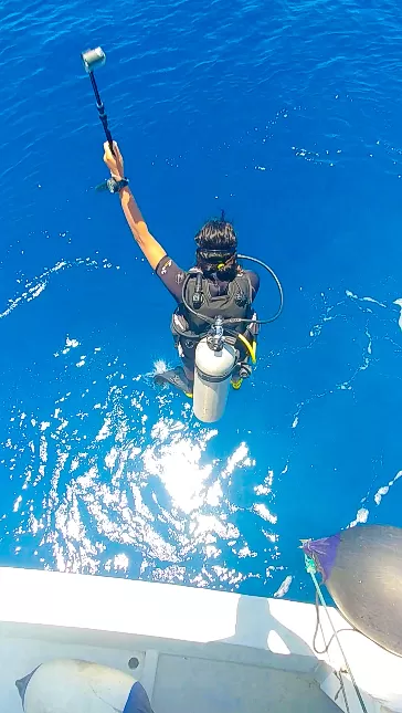 Photo of ISLAND HOPPING IN THE MALDIVES- 11 DAYS DIY ITINERARY by Shraddha
