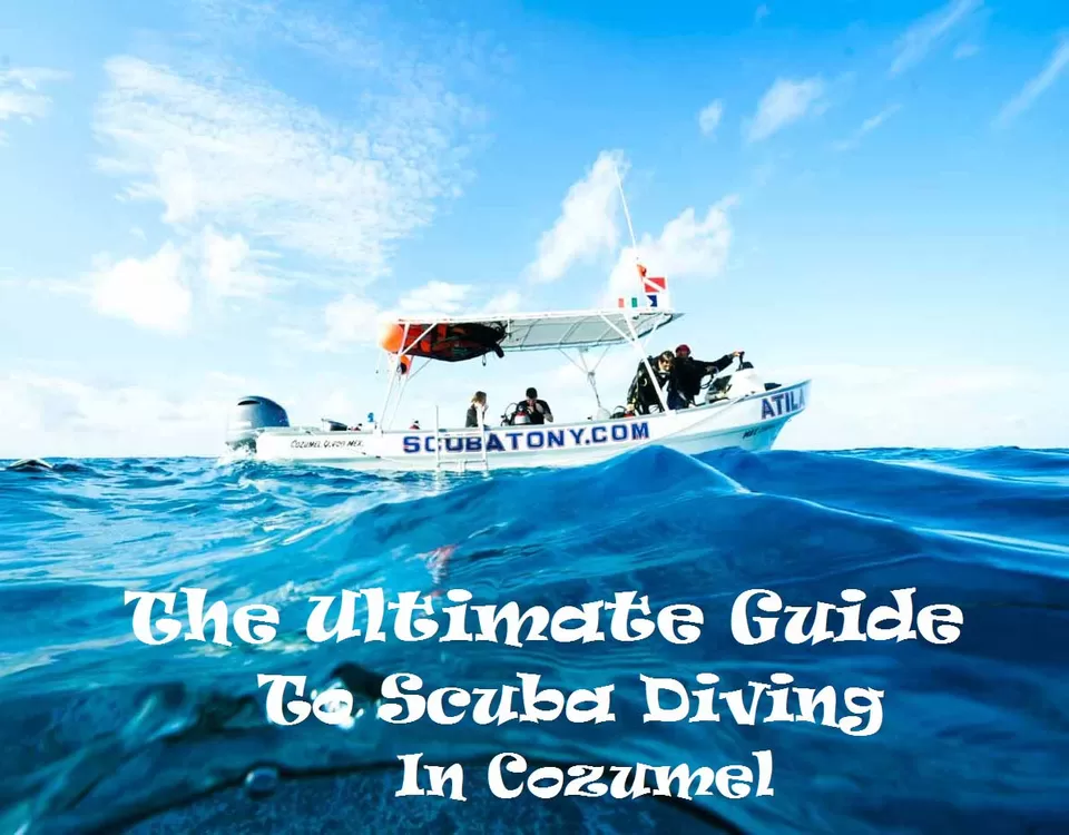 Photo of Cozumel, Quintana Roo, Mexico by Shraddha