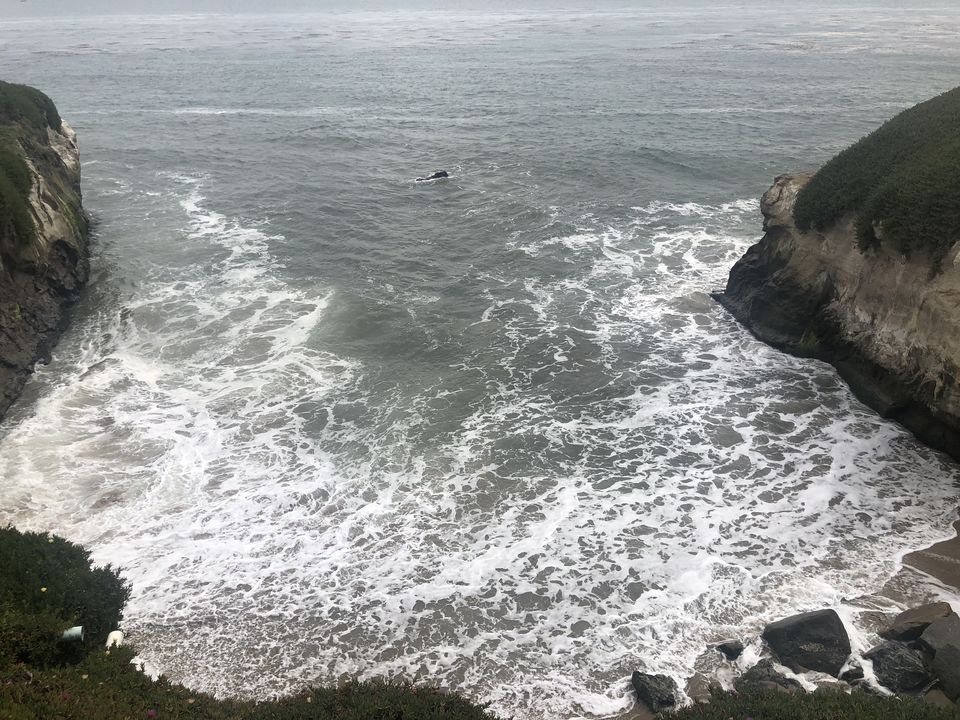 Photo of Natural Bridges State Beach, West Cliff Drive, Santa Cruz, CA, USA by Nishitha Taralagatti