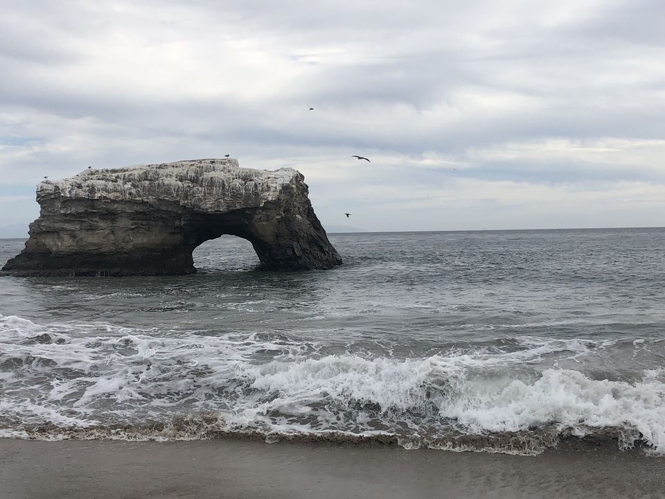 Photo of Natural Bridges State Beach, West Cliff Drive, Santa Cruz, CA, USA by Nishitha Taralagatti