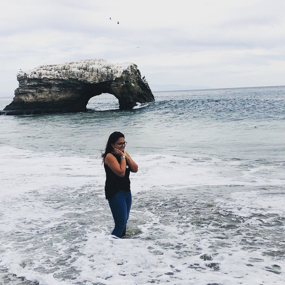 Photo of Natural Bridges State Beach, West Cliff Drive, Santa Cruz, CA, USA by Nishitha Taralagatti