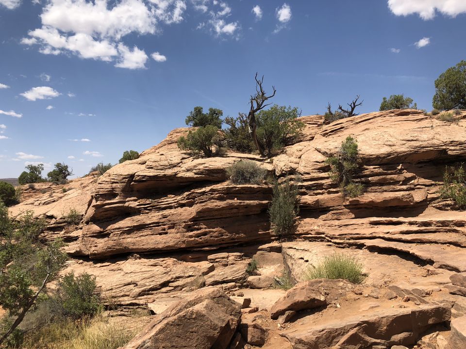Photo of Hike up to the Delicate Arch in Moab, Utah by Nishitha Taralagatti