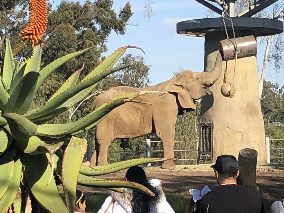 Photo of San Diego Zoo Safari Park, San Diego, CA, USA by Nishitha Taralagatti