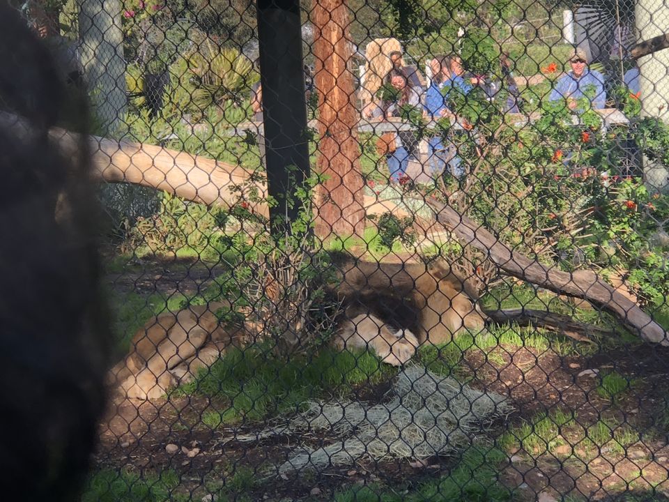 Photo of San Diego Zoo Safari Park, San Diego, CA, USA by Nishitha Taralagatti