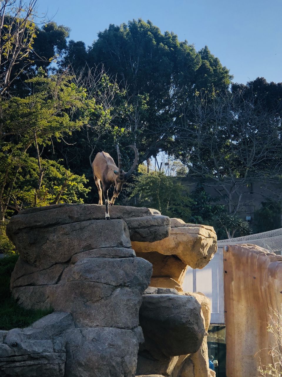 Photo of San Diego Zoo Safari Park, San Diego, CA, USA by Nishitha Taralagatti