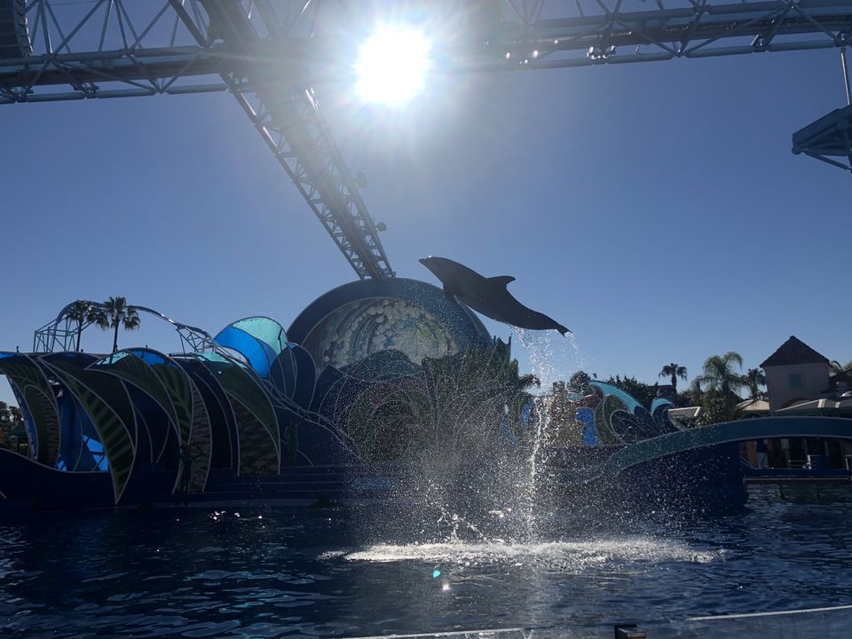 Photo of SeaWorld San Diego, Sea World Drive, San Diego, CA, USA by Nishitha Taralagatti