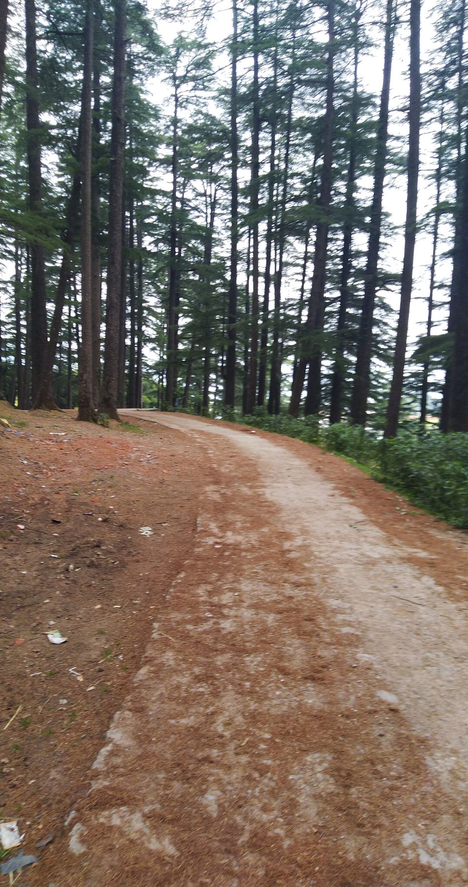 Photo of Lohaghat, Uttarakhand, India by Himanshu Chaube