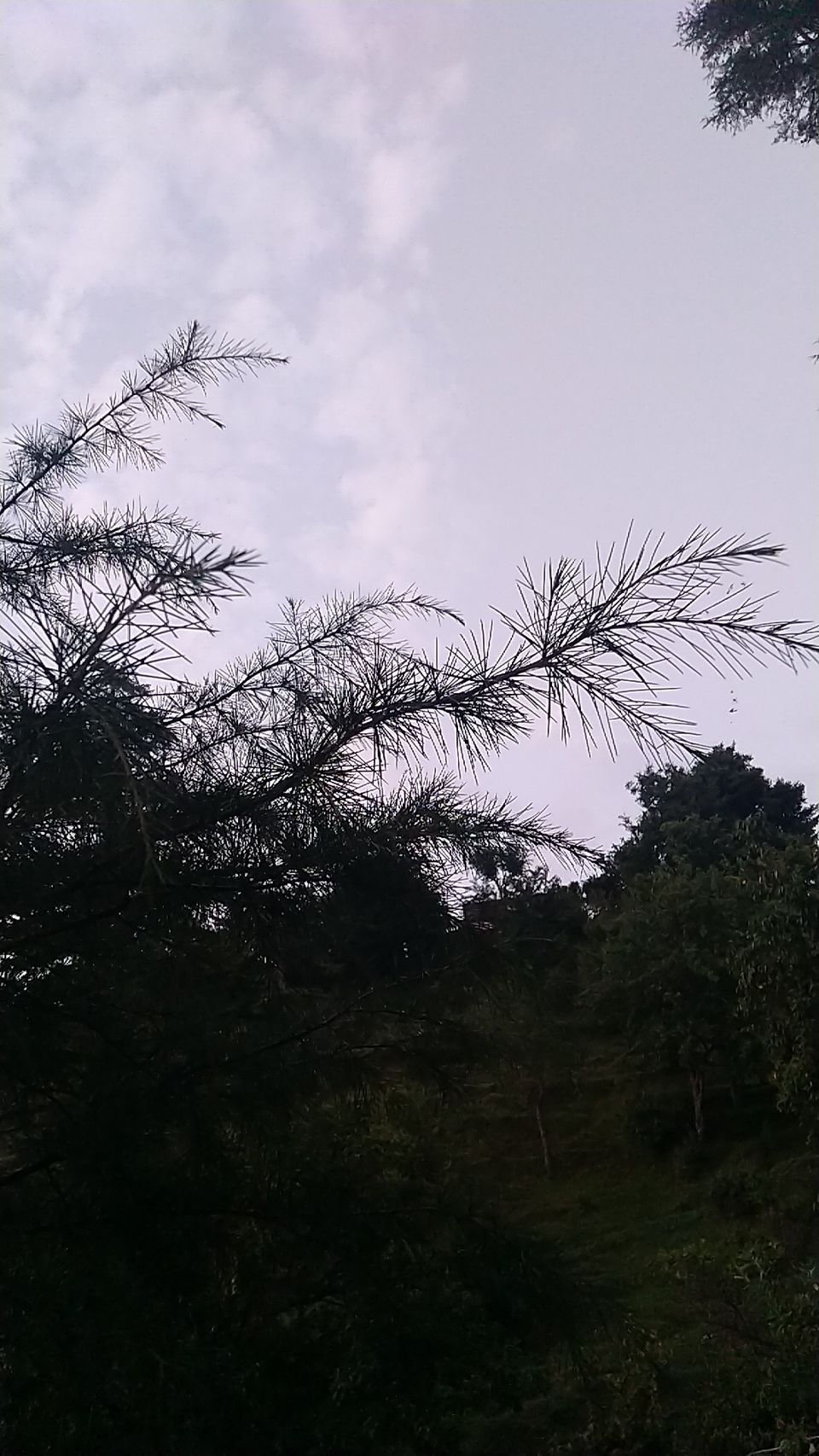 Photo of Lohaghat, Uttarakhand, India by Himanshu Chaube