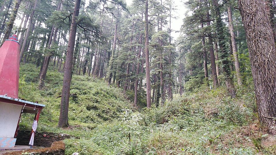Photo of Lohaghat, Uttarakhand, India by Himanshu Chaube