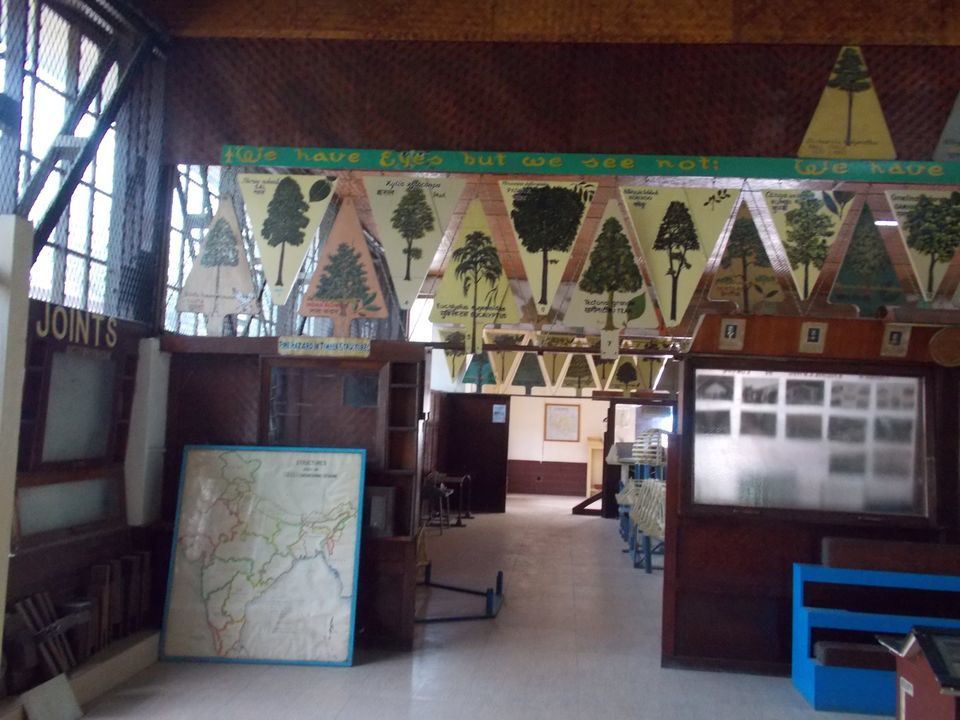 Photo of Trip to Forest Research Institute (FRI), Dehradun 11/18 by Himanshu Chaube