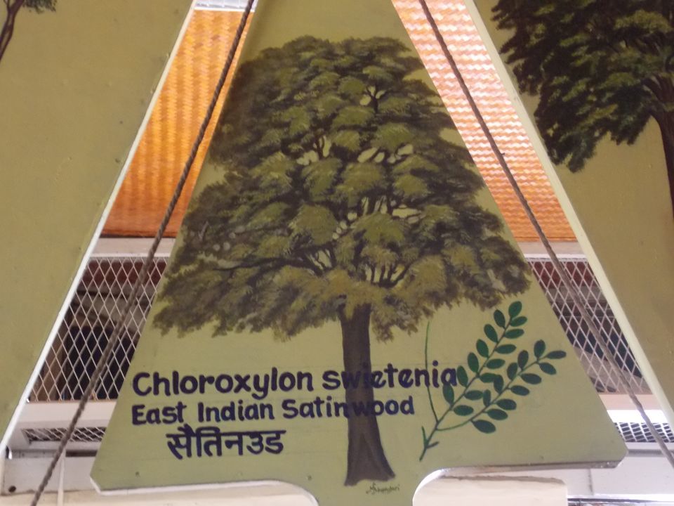 Photo of Trip to Forest Research Institute (FRI), Dehradun 15/18 by Himanshu Chaube