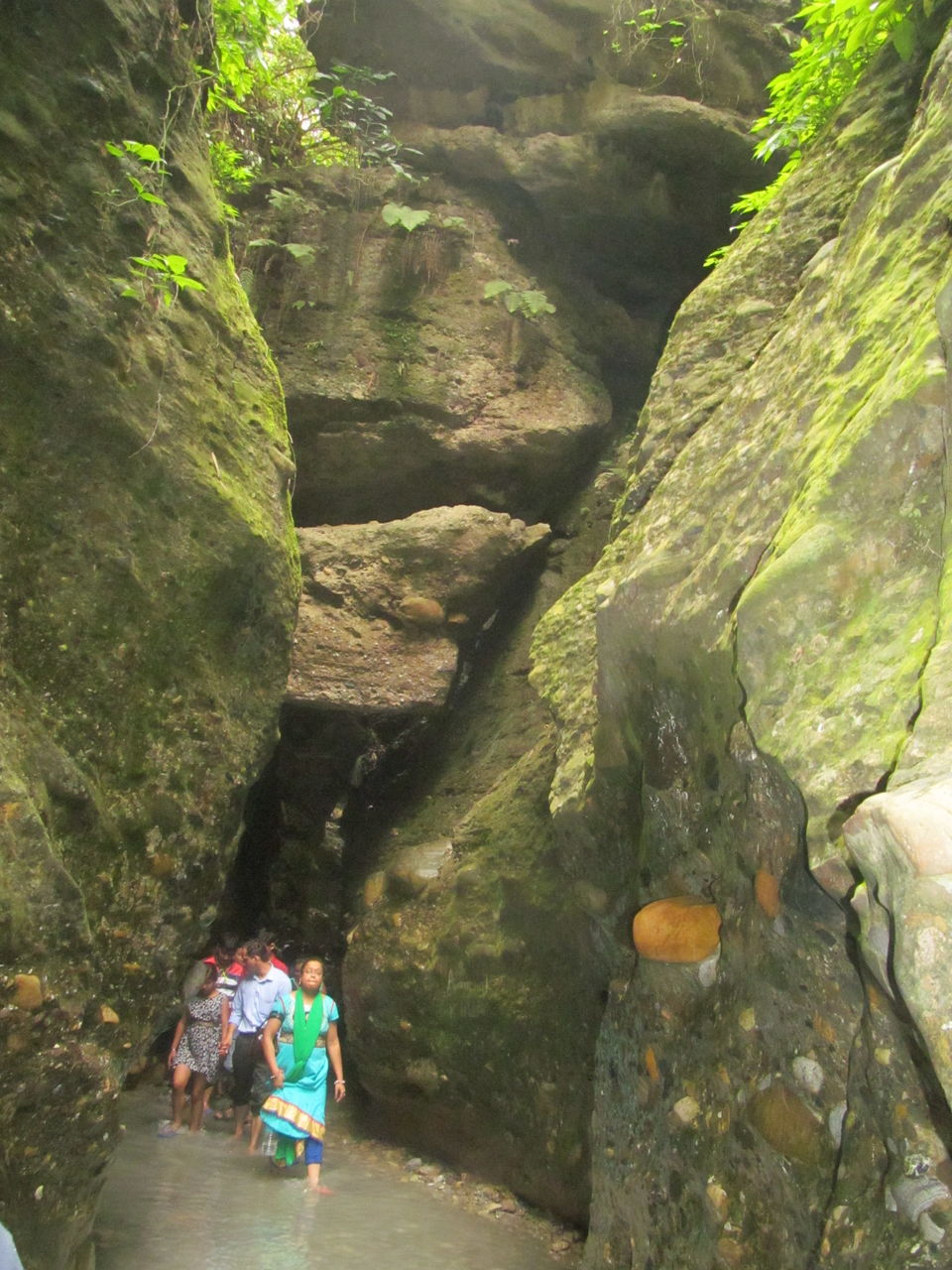 Photo of Trip to Robber's Cave (गुच्चू पानी), Dehradun 6/9 by Himanshu Chaube