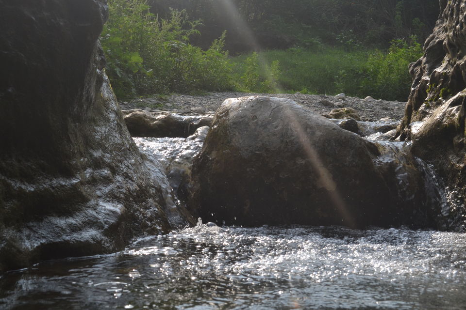 Photo of Trip to Robber's Cave (गुच्चू पानी), Dehradun 8/9 by Himanshu Chaube