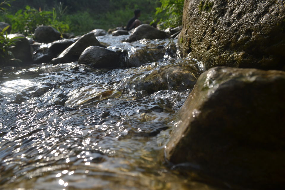Photo of Trip to Robber's Cave (गुच्चू पानी), Dehradun 9/9 by Himanshu Chaube