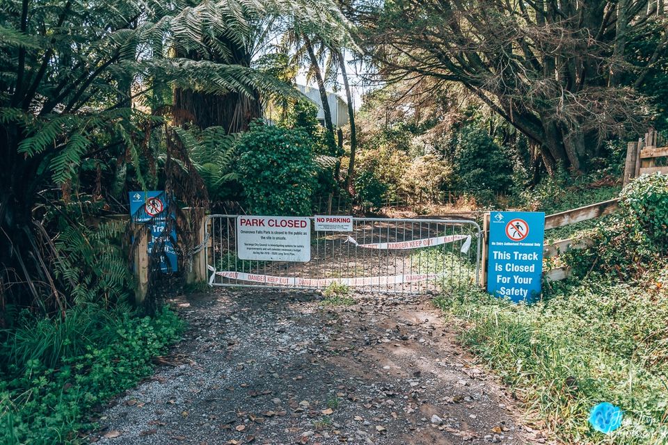 Photo of Omanawa Falls, Omanawa, New Zealand by Flip Flop Wanderers