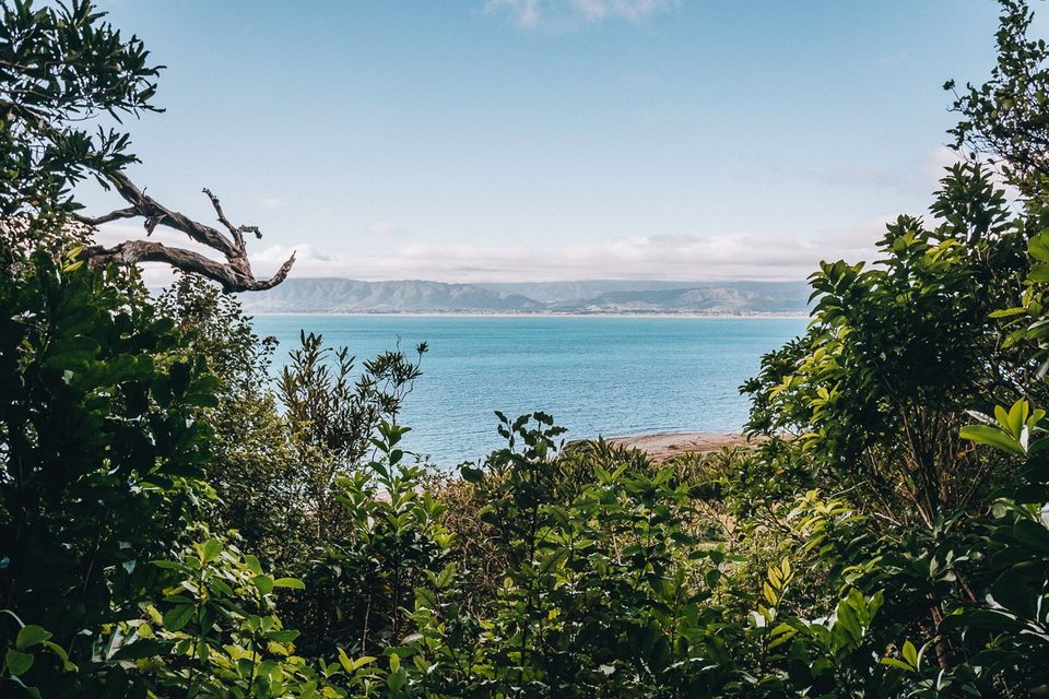 Photo of Overnight Stay on Nature- and Birdlovers Paradise: Kapiti Island by Flip Flop Wanderers