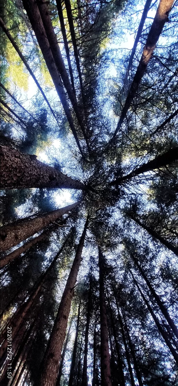 Photo of Manali by Prakhar Bhardwaj
