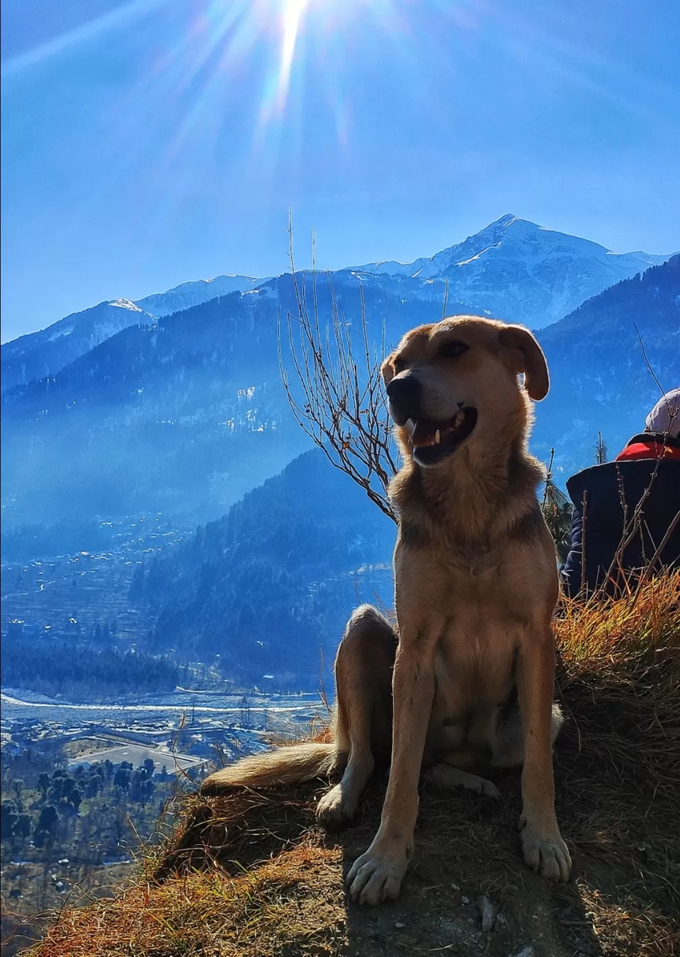 Photo of Manali by Prakhar Bhardwaj