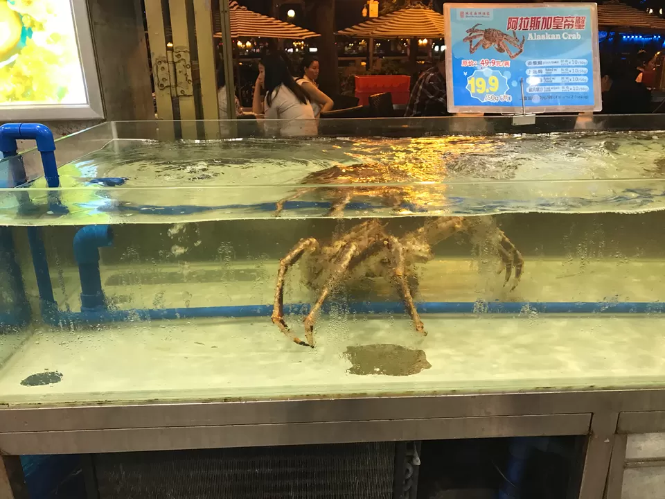 Photo of Yuexiu Qu,Guangzhou Shi by Vishvanath Bhatt