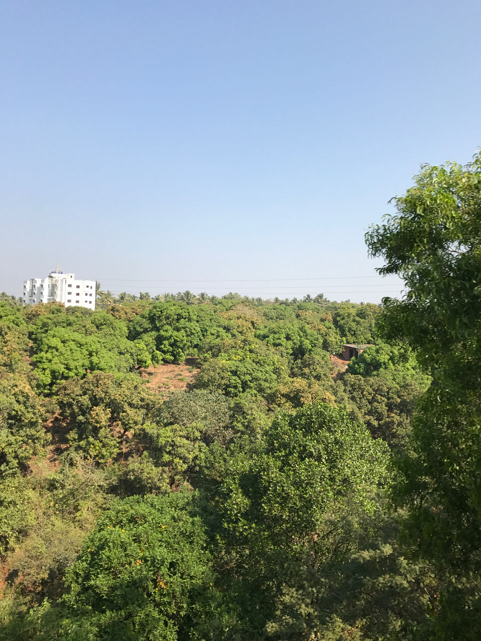Photo of Ratnagiri by Vishvanath Bhatt